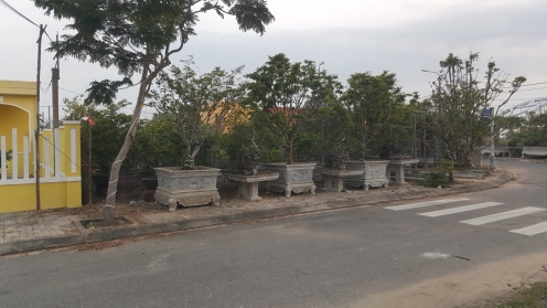 Bán đất biển Đà Nẵng đương Trà Lộ , bán lổ giá 1,2 tỷ diện tích 100m2