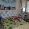 Nhà cho chuyên gia nước ngoài trung tâm quận Hải Châu giá chỉ 350$/ tháng.