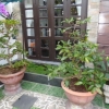 Biệt thự cho thuê gần biển Mỹ An thoáng mát thích hợp ở 