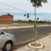 Bán đất nền khu đô thị sinh thái Nam Việt Á, diện tích 100m2, giá bán 900 triệu