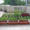 Cho thuê nhà gần cầu Rồng 2 mặt tiền 180m2 3 tầng 6 phòng ngủ có tiện nghi