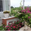 Bán nhà quận Sơn Trà gần trường chính trị DT: 100m2 