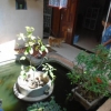 Bán biệt thự sân vườn quận Ngũ Hành Sơn thiết kế theo phong cách cổ DT 300m2 