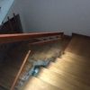 Cho thuê nhà mặt phố đường Hoàng Văn Thụ, diện tích  5x30=150m2