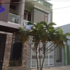 Đất nền biệt thự, hướng nam lô 19b khu B7 Phạm Viết Chánh.