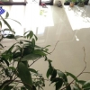 Mặt bằng view biển cực đẹp, ngang 7m đường Võ Nguyên Giáp