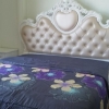 Căn hộ sát biển 50m2 khu An Thượng sát biển cho thuê 500$