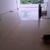Nhà cho thuê đường Nguyễn Phước Tần hợp làm văn phòng