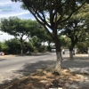 Cho thuê 200m2 đất đường Nguyễn Phước Lan, Hòa Xuân 12tr/tháng. Lh xem đất ngay