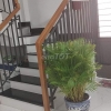 Cho thuê nhà nguyên căn 50 m²,3 tầng, đường Yên Bái quận Hải Châu, Đà Nẵng, giá 20tr/tháng.