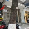 Cho thuê nhà nguyên căn 4 tầng đường Đống Đa, gần chợ Đống Đa, giá 45tr, diện tích 380m2.