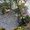 Cho thuê nhà kiểu biệt thự đường Lương Thúc Kỳ gần bãi tắm Sơn Thủy giá 27tr/ tháng, diện tích 230m2