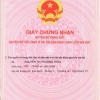 Bán đất đường Nguyễn Trãi, Đông Hà, Quảng Trị giá 4.692 tỷ