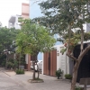 Bán nhà 3 tầng mặt tiền đường Xuân Đán 2 giá chỉ 7.6 tỷ diện tích 100m2